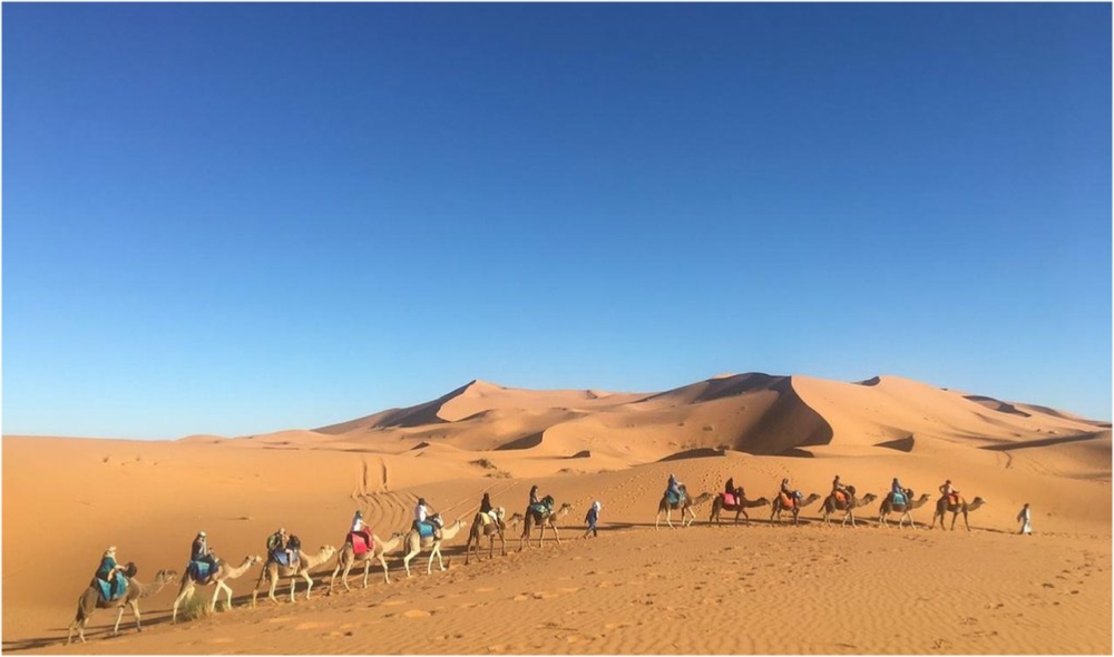 Desert tours Fes